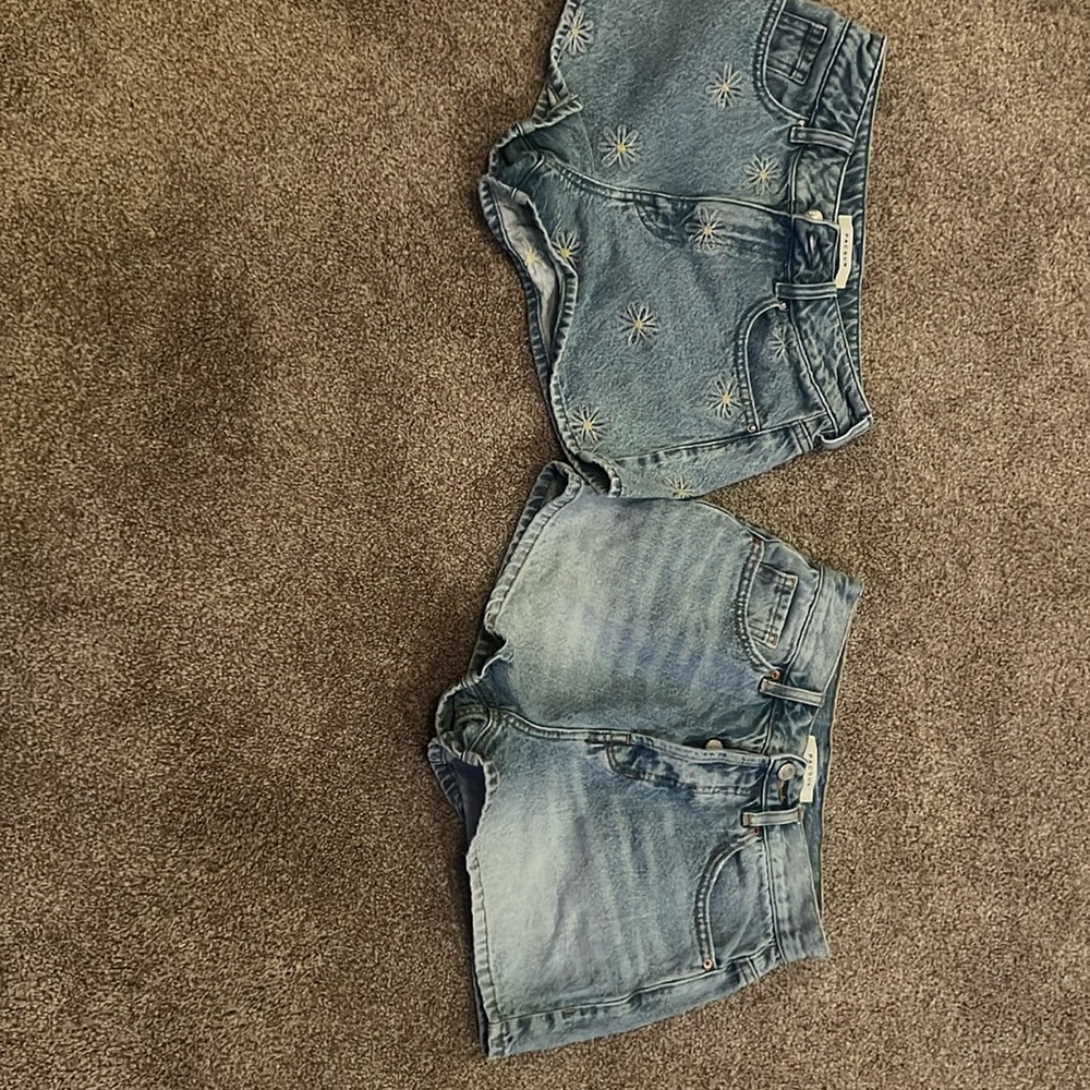 Pacsun Shorts